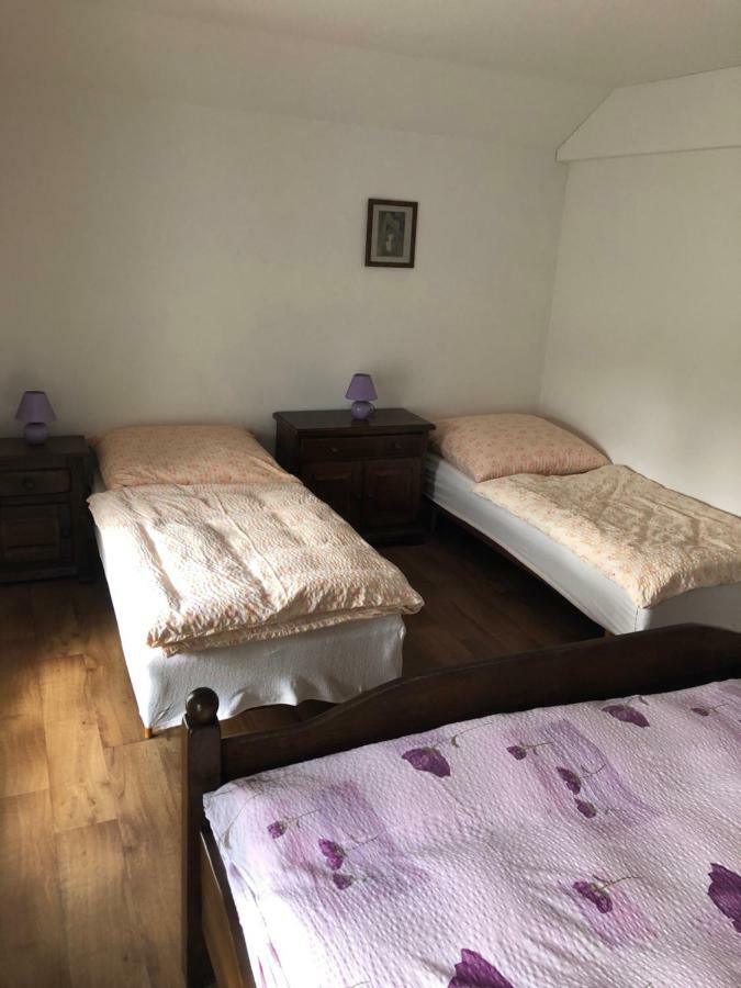 Ubytovani U Simonu Hotel Probulov Bagian luar foto