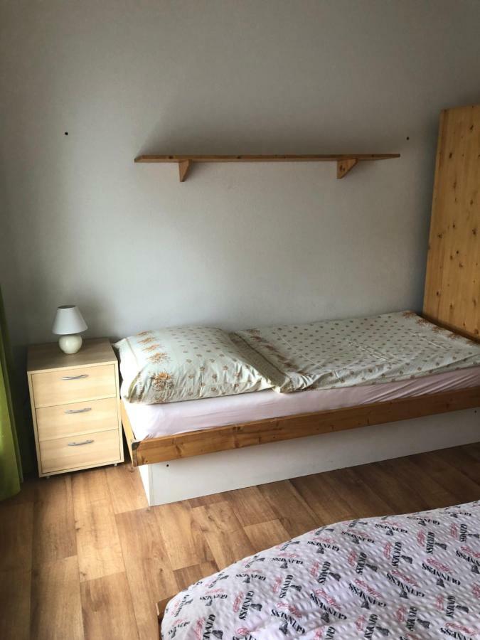 Ubytovani U Simonu Hotel Probulov Bagian luar foto