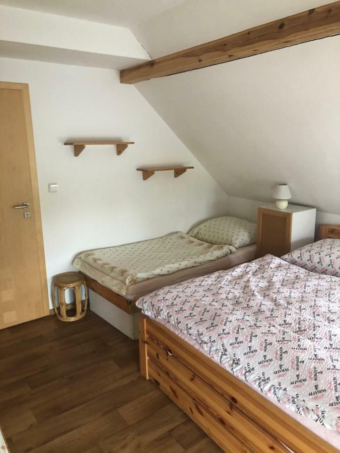 Ubytovani U Simonu Hotel Probulov Bagian luar foto